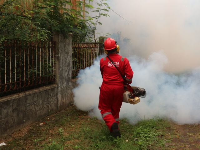 pest control